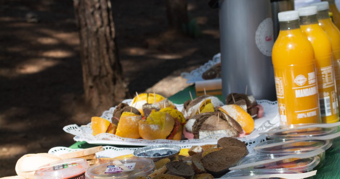 Actividad en la Naturaleza con un copioso y delicioso brunch en el mismo entorno natural.