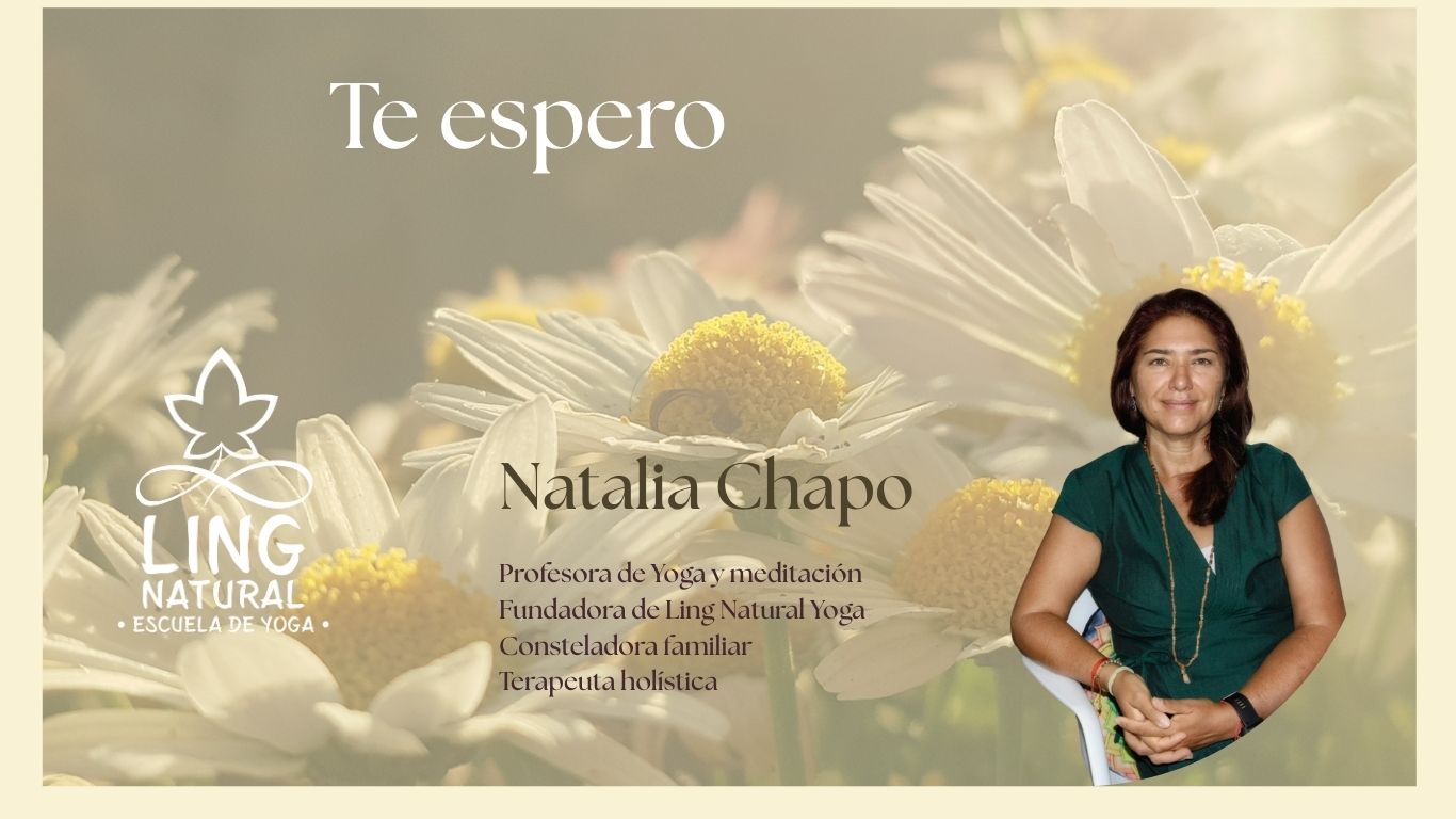 Constelaciones individuales