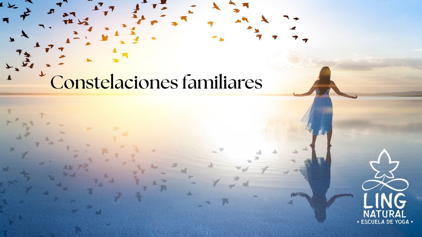 Constelaciones Familiares