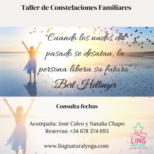 Taller constelaciones familiares