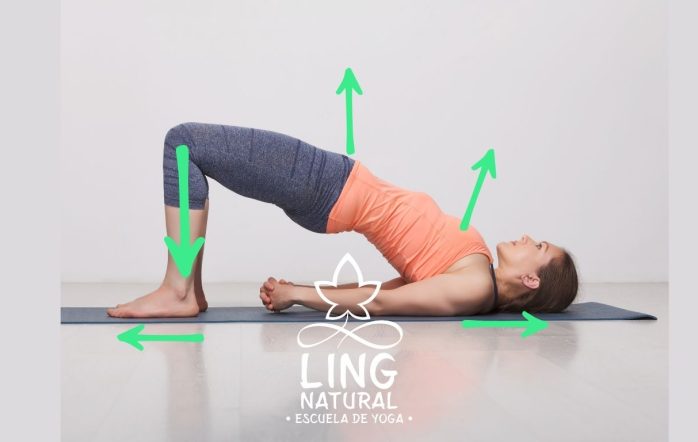 En Ling Natural Yoga, entendemos el yoga como un jardín donde cultivamos salud y consciencia. Hoy queremos invitarte a cruzar un puente muy especial: Setu Bandhasana o la Postura del [&hellip;]