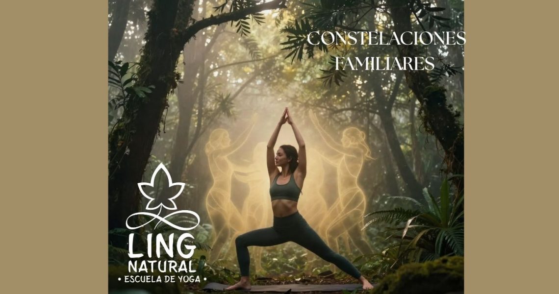 Más allá de la esterilla: Por qué las Constelaciones Familiares son el “yoga” de tus relaciones