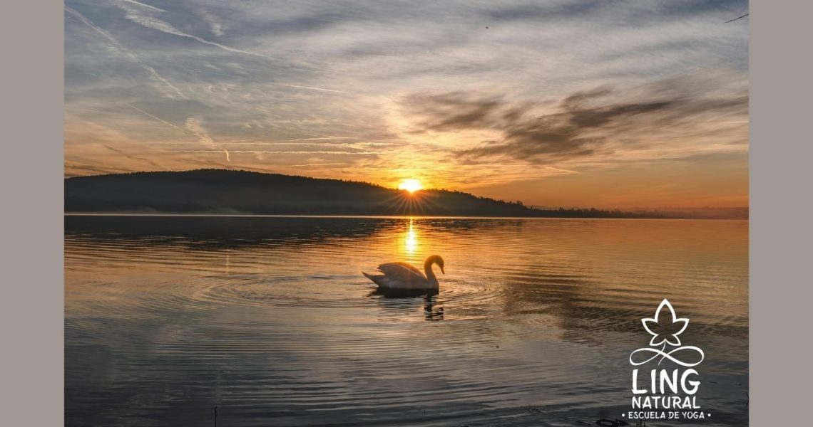 El valor de la verdad interior (Satya) en la vida cotidiana