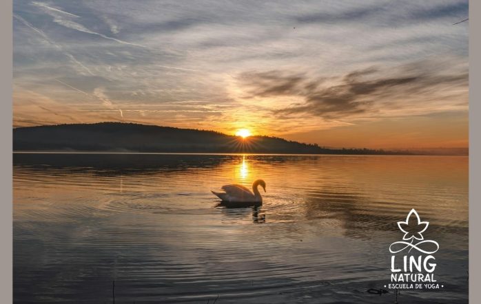 En el camino del yoga, a menudo escuchamos la palabra Satya. Este término sánscrito, que se traduce como “veracidad”, es mucho más que el simple acto de no decir mentiras. [&hellip;]