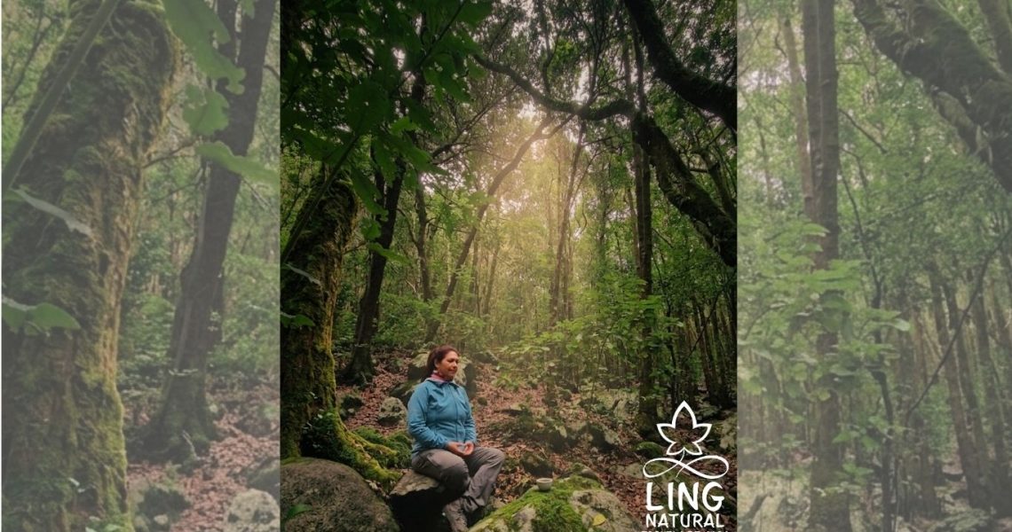 Todos los días son domingo: el arte del descanso interno.