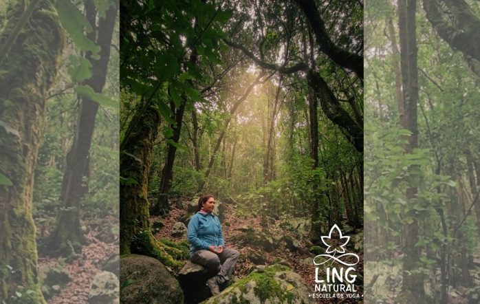 A veces siento comprensiones que me gusta escribir para no perderlas y poder volver a ellas cuando lo necesite. Estas “palabras a mí misma” las comparto por si a ti [&hellip;]