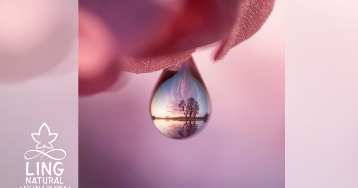 El lenguaje de las lágrimas: Por qué llorar es un acto de inteligencia biológica