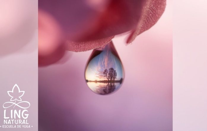 En Ling Natural Yoga, entendemos el bienestar como un equilibrio entre cuerpo, mente y espíritu. A menudo, en los talleres que realizamos se produce una profunda liberación emocional. Ya sea [&hellip;]